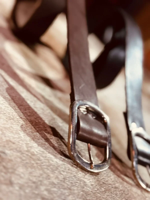 WhatsApp Image 2026-04-08 at 10.18.54 PM (3) Cinto M e g a n